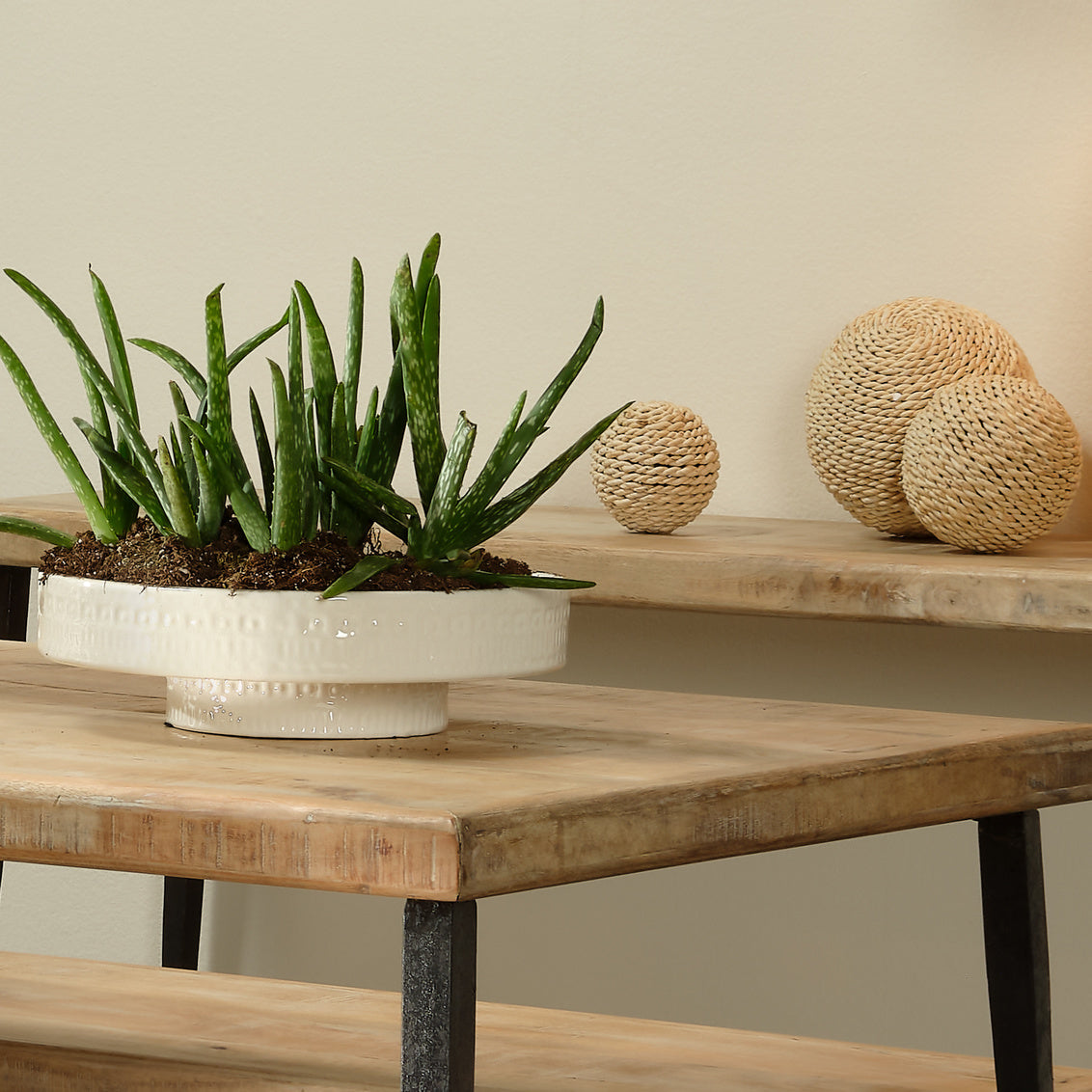Coco Pedestal