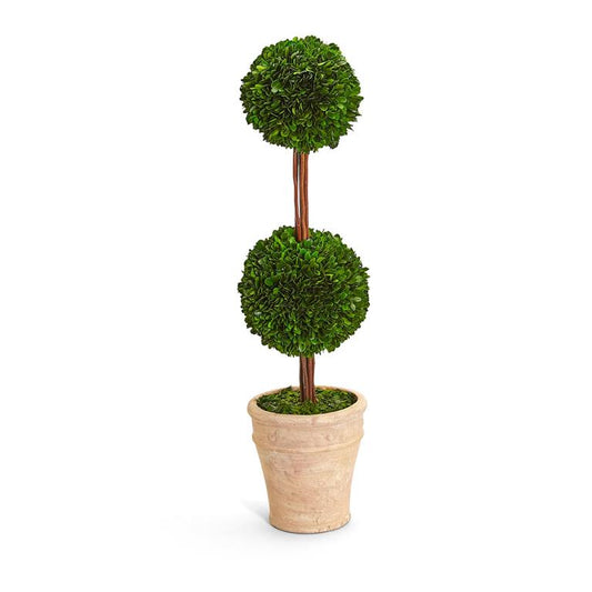 Cone Topiary