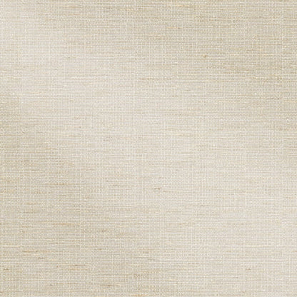 Hunter Douglas Designer Roller Shade