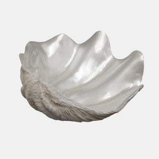 Pearlized Shell