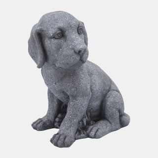 Sagebrook Accessories:Puppy