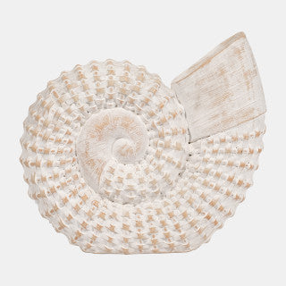 Sagebrook Accessories:Shell Accent