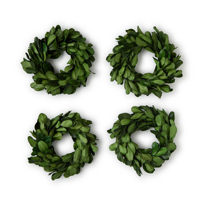 Set of 4 Preserved Boxwood Wreath Napkin Rings