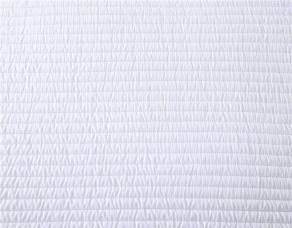Palm 3 Piece Queen Comforter Set