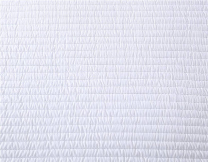 Palm 3 Piece Queen Comforter Set