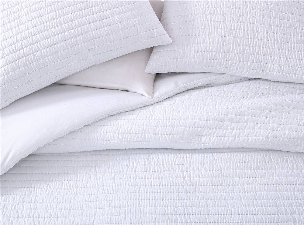 Palm 3 Piece Queen Comforter Set