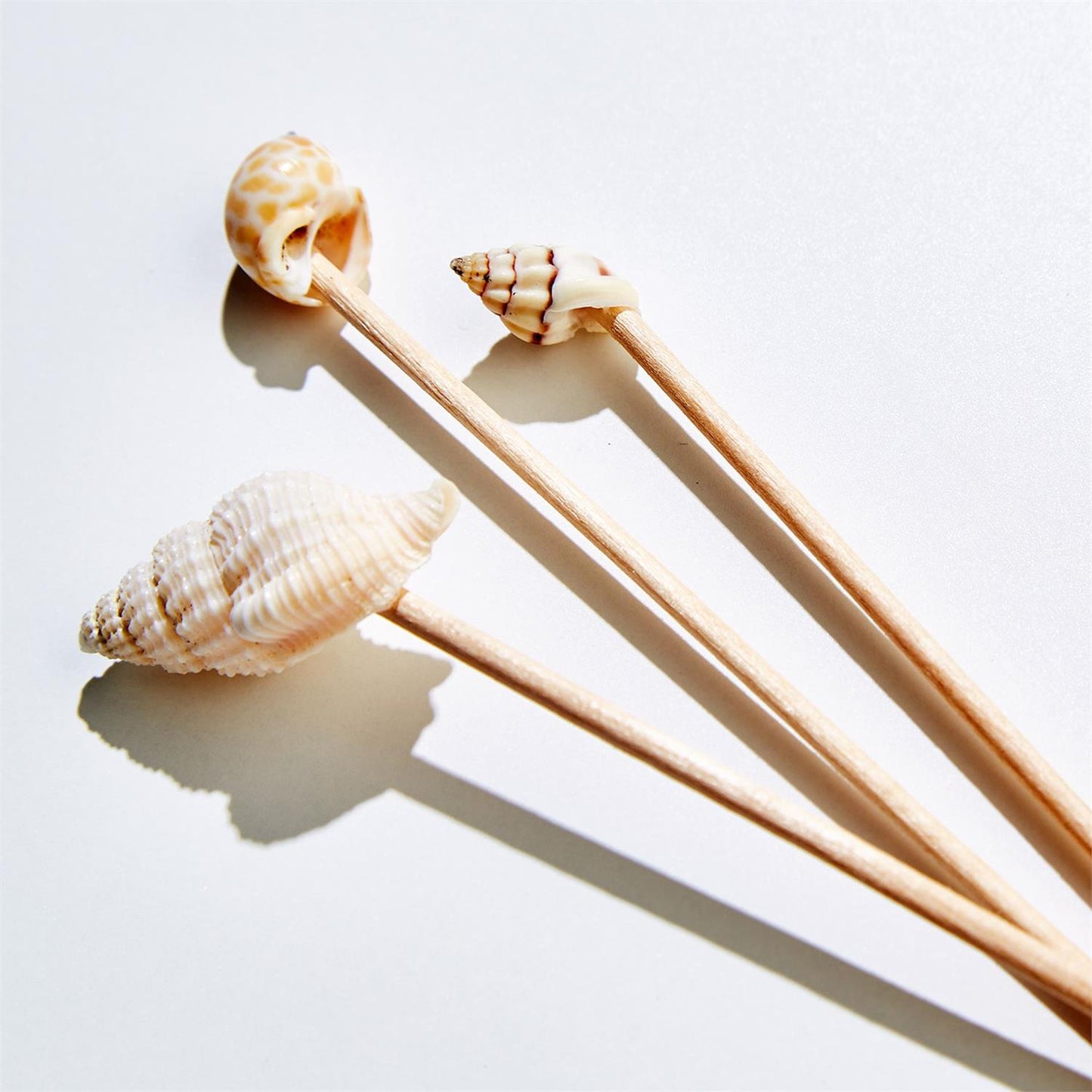 Sea Fare 40 Shell Hors D'Oeuvre Long Picks in Gift Box - Wood/Shell